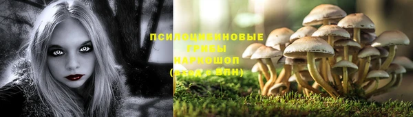 мдпв Заводоуковск