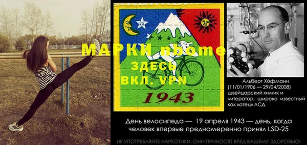 амф Гатчина
