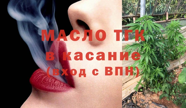 мдпв Заводоуковск