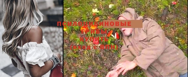 мдпв Заводоуковск
