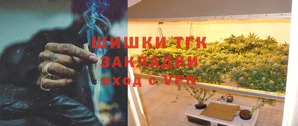 мдпв Заводоуковск