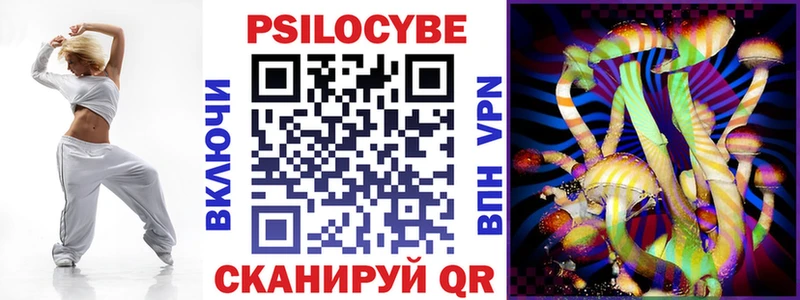Купить закладки  Краснозаводск  Псилоцибиновые грибы мухоморы 
